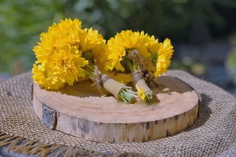 Herb Garden Crafts