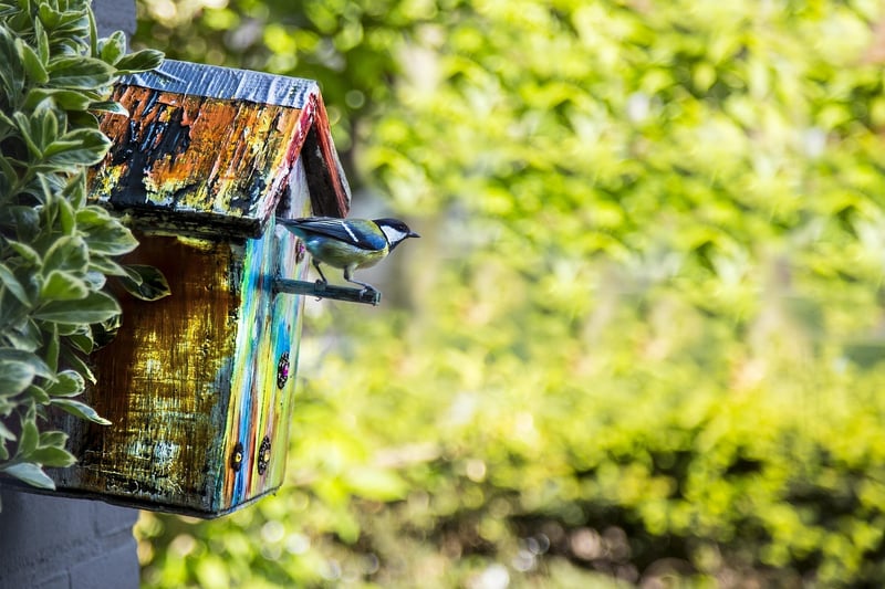 Whimsical Birdhouses