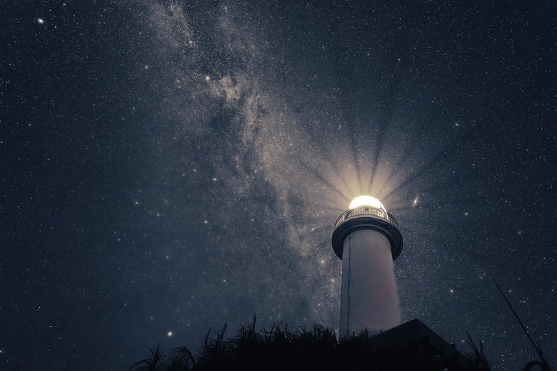 Plants under starry sky